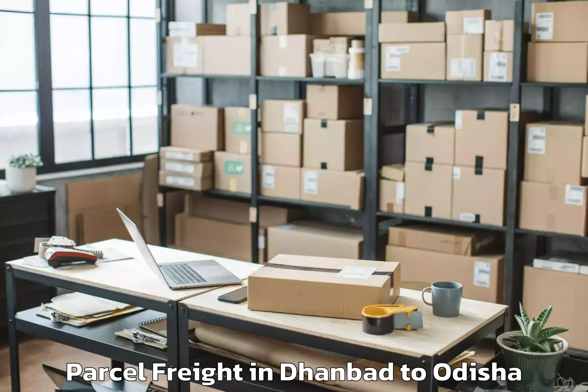 Book Dhanbad to Barkote Parcel Freight Online